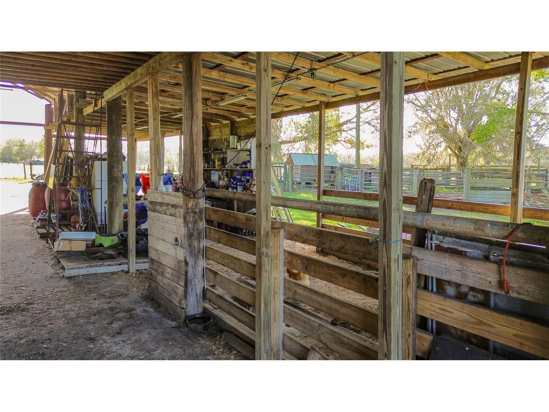 855 NE 107th Road Oxford FL 34484 TB8486454 image24