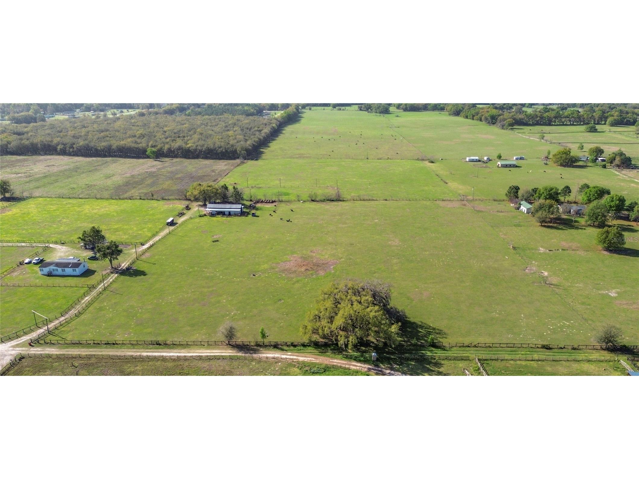855 NE 107th Road Oxford FL 34484 TB8486454 image4