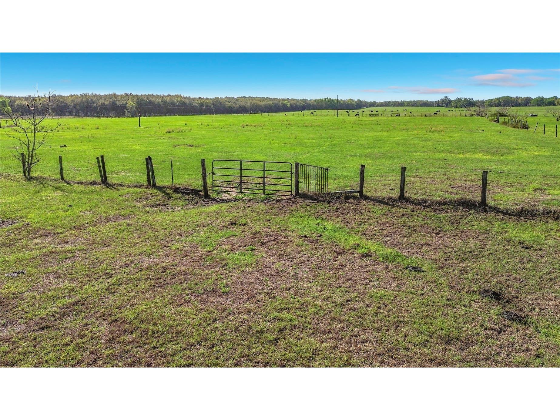 855 NE 107th Road Oxford FL 34484 TB8486454 image44