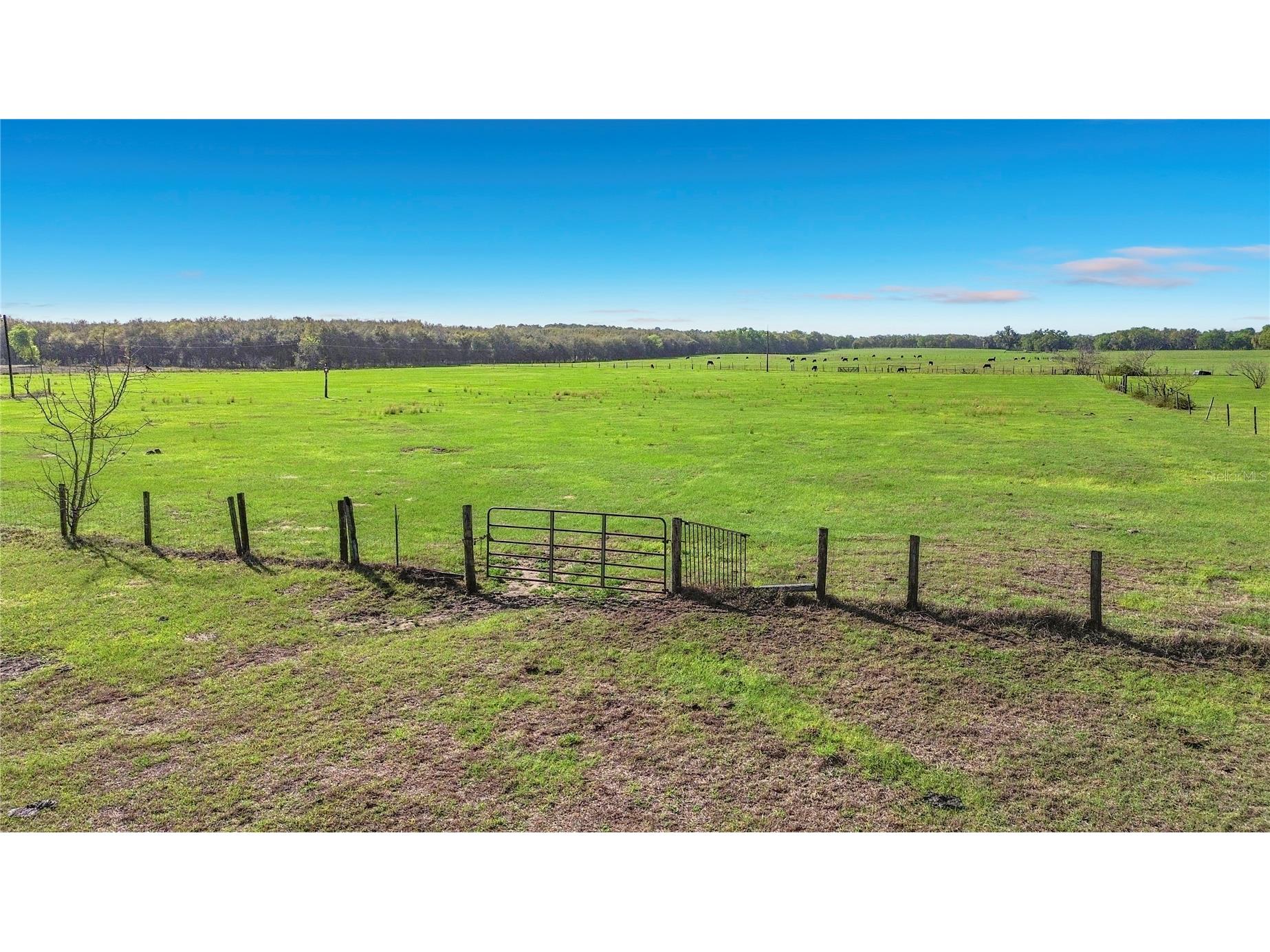 855 NE 107th Road Oxford FL 34484 TB8486454 image45