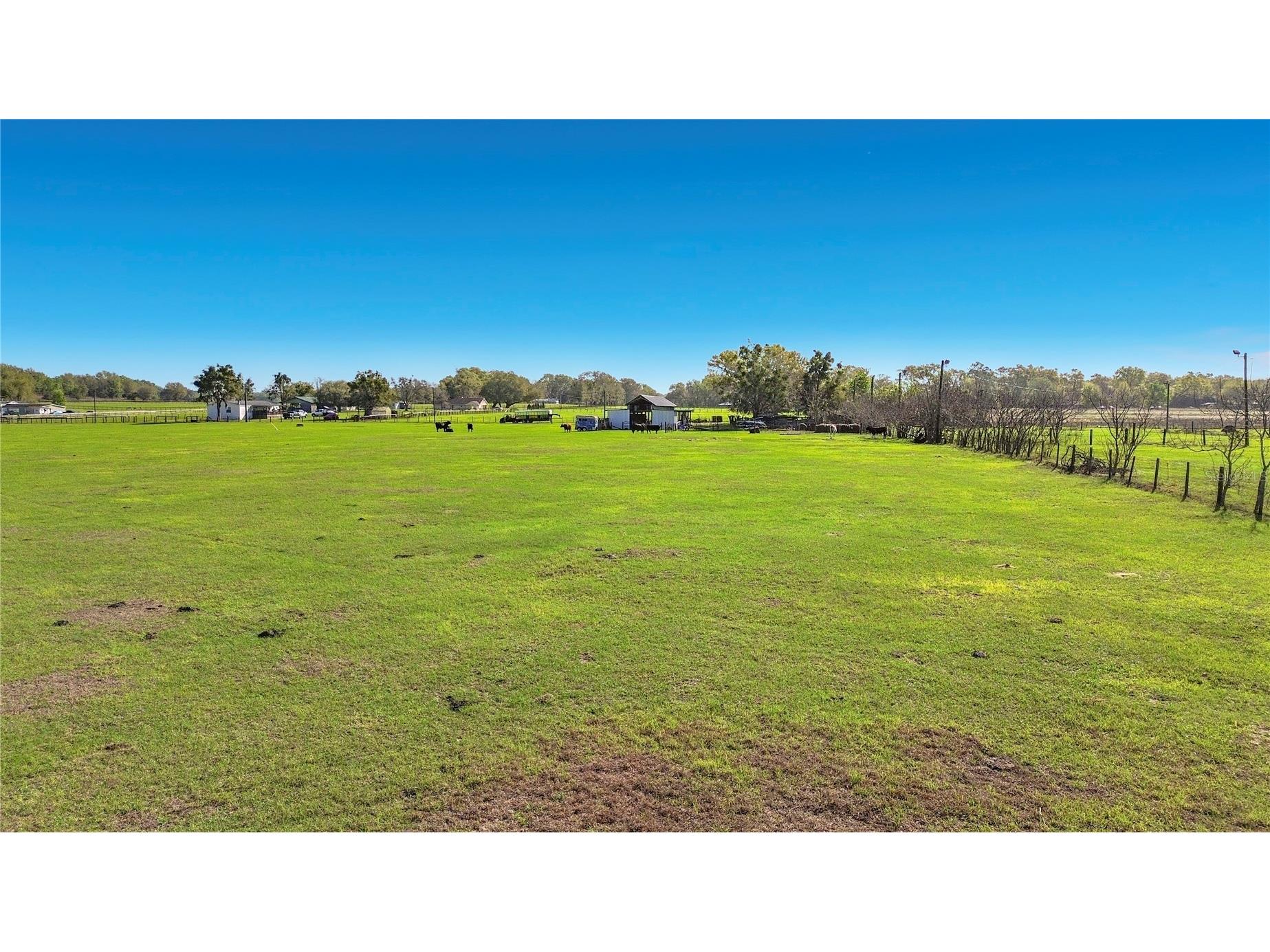 855 NE 107th Road Oxford FL 34484 TB8486454 image46