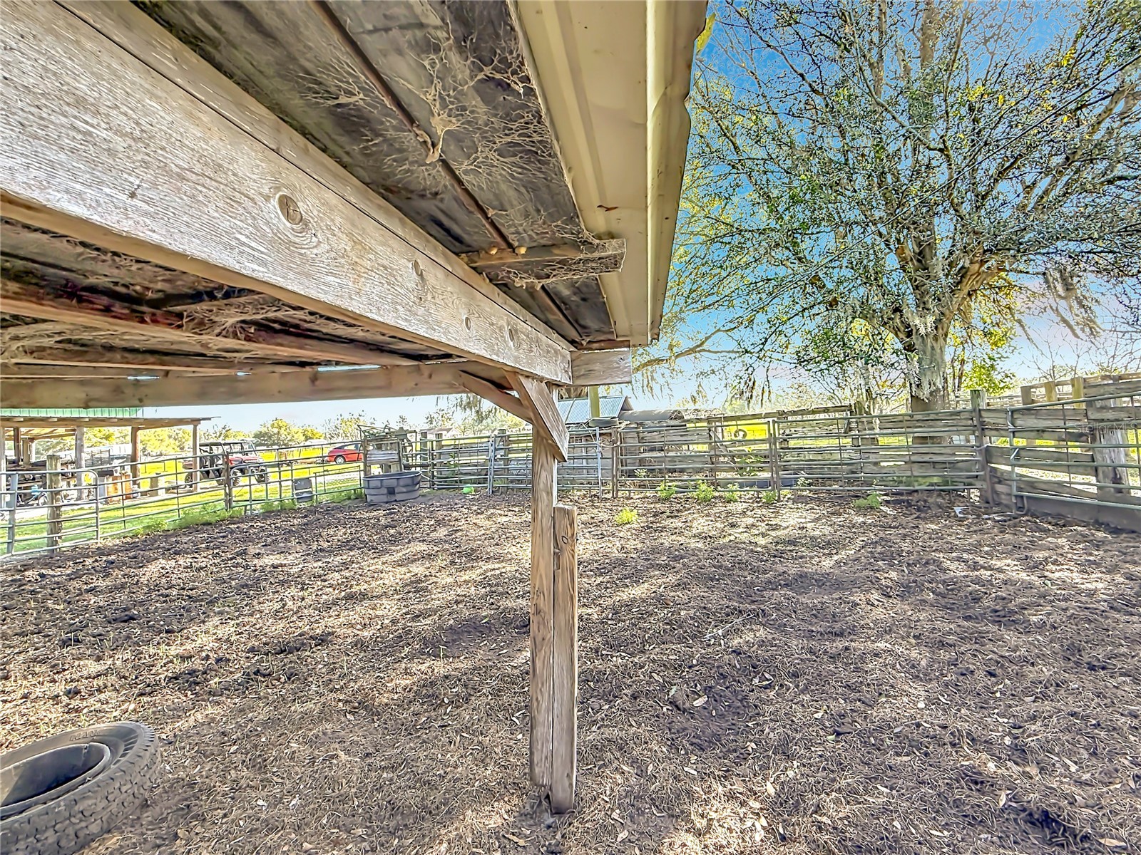 855 NE 107th Road Oxford FL 34484 TB8486454 image49