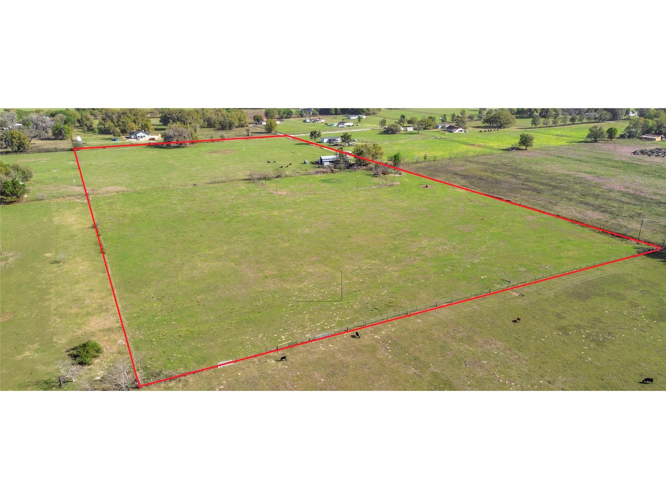 855 NE 107th Road Oxford FL 34484 TB8486454 image5