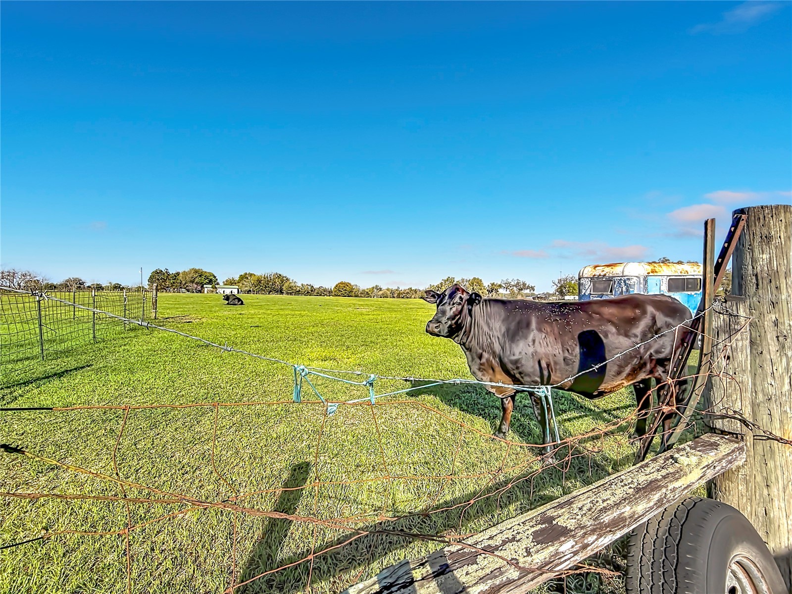855 NE 107th Road Oxford FL 34484 TB8486454 image51