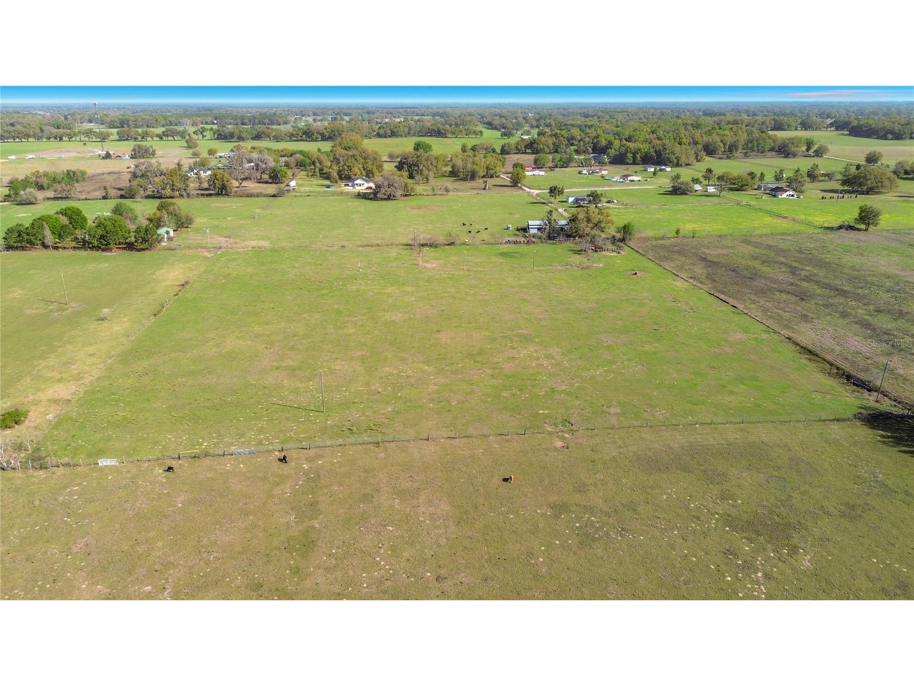 855 NE 107th Road Oxford FL 34484 TB8486454 image7