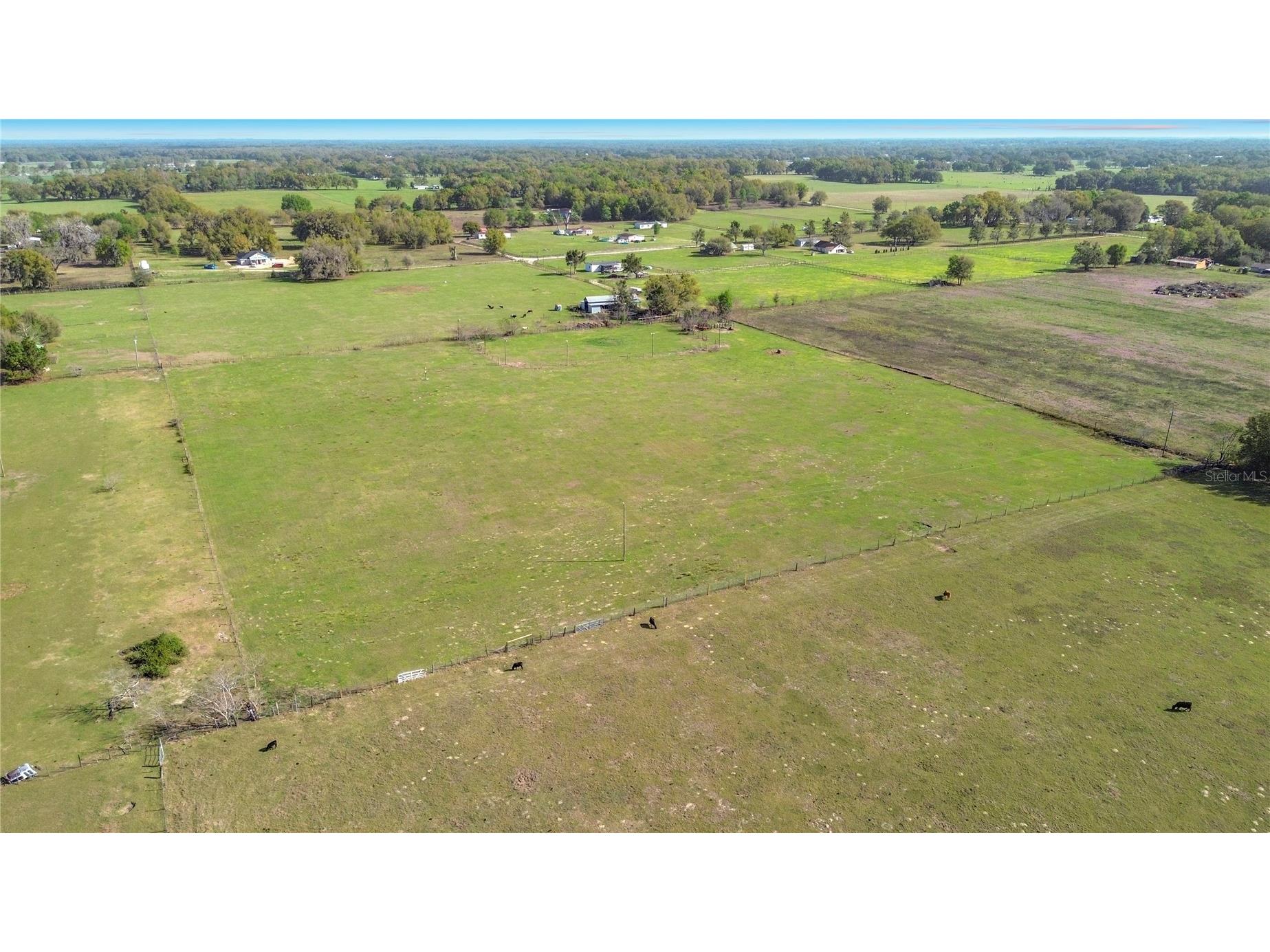 855 NE 107th Road Oxford FL 34484 TB8486454 image8