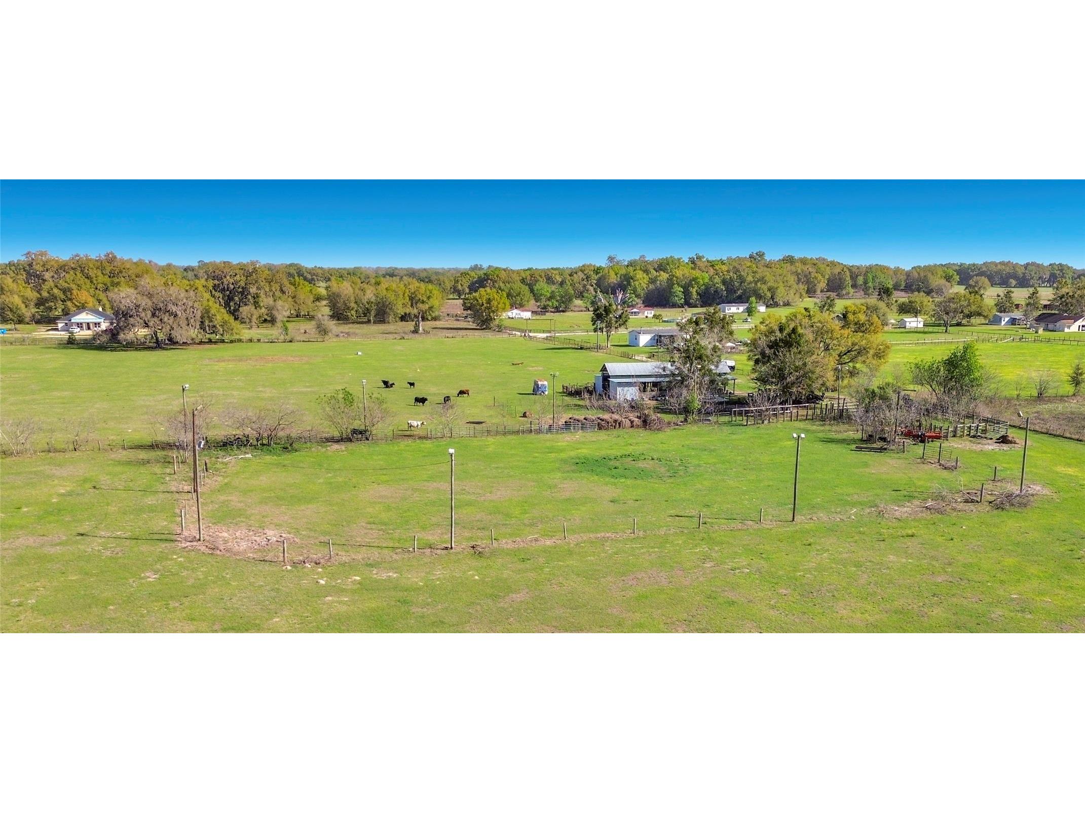 855 NE 107th Road Oxford FL 34484 TB8486454 image9