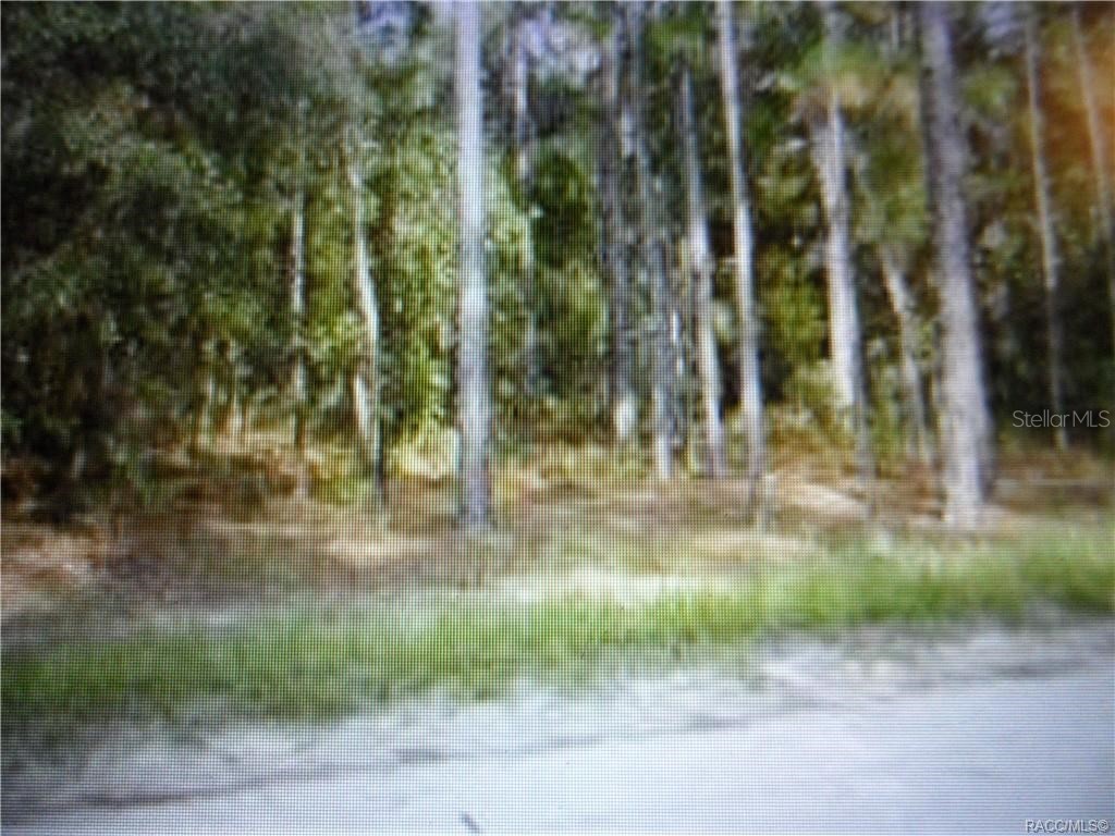 855 S Fairlane Terrace Lecanto FL 34461 OM676781 image1
