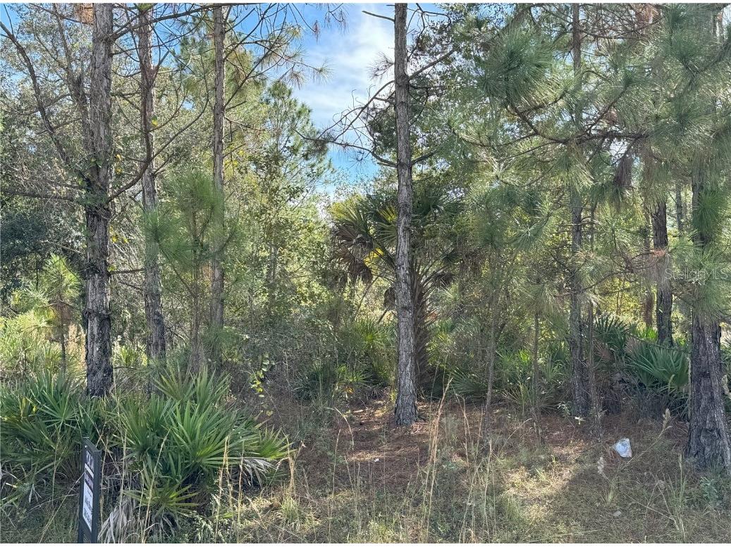 855 S State Road 415 New Smyrna Beach FL 32168 FC296403 image1