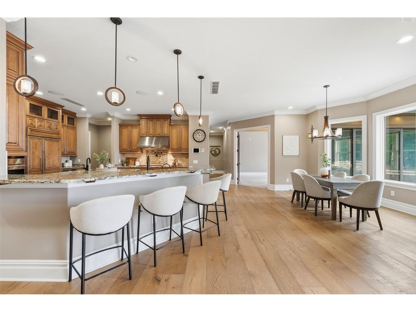 855 SE 87th Street Ocala FL 34480 - LAKE SHOE OM725932 image16