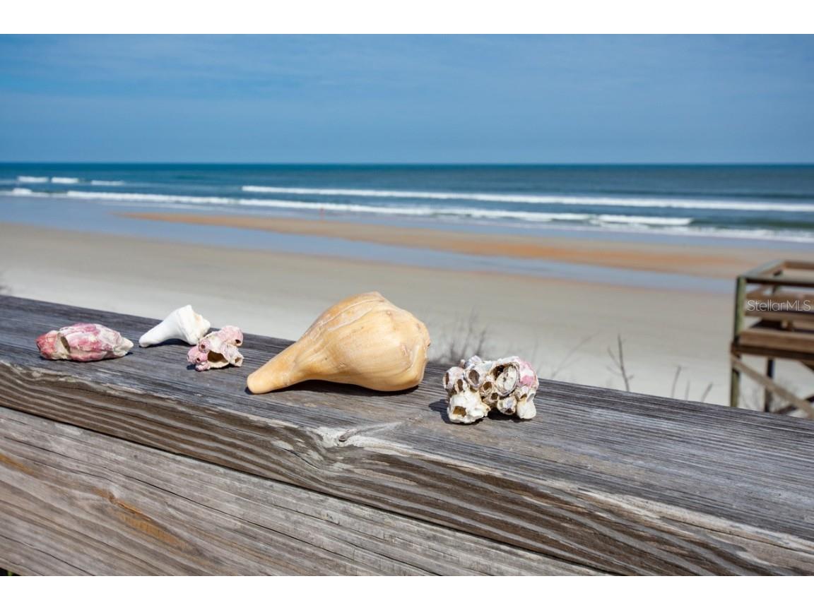 8550 A1a S #228 Saint Augustine FL 32080 FC306641 image30