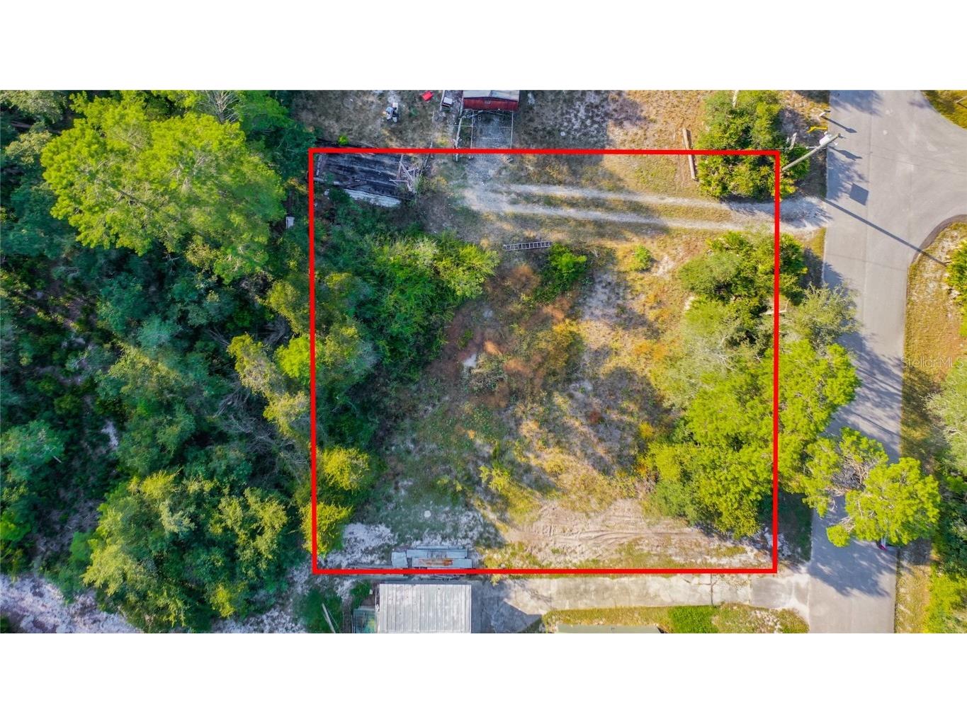 8550 Lilymoor Drive New Port Richey FL 34654 W7838938 image1