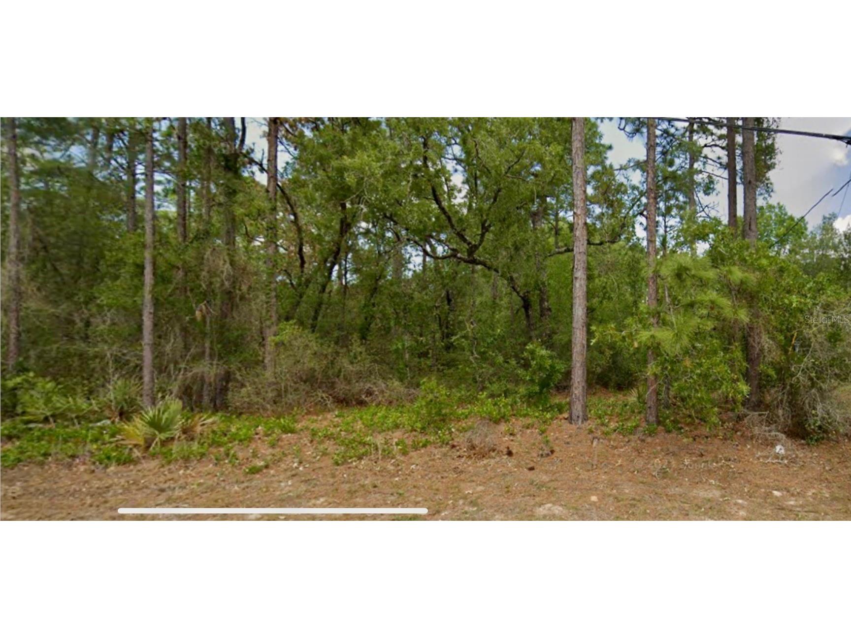 8550 N Citrus Springs Boulevard Citrus Springs FL 34433 O6406632 image1