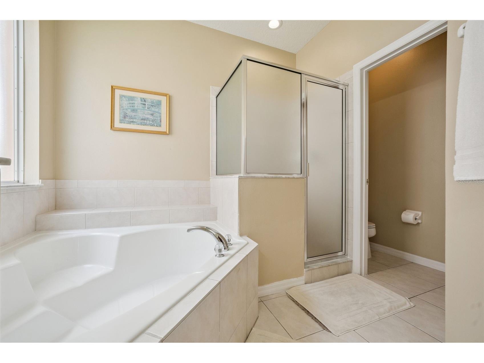 8550 Sunrise Key Drive Kissimmee FL 34747 S5148879 image20