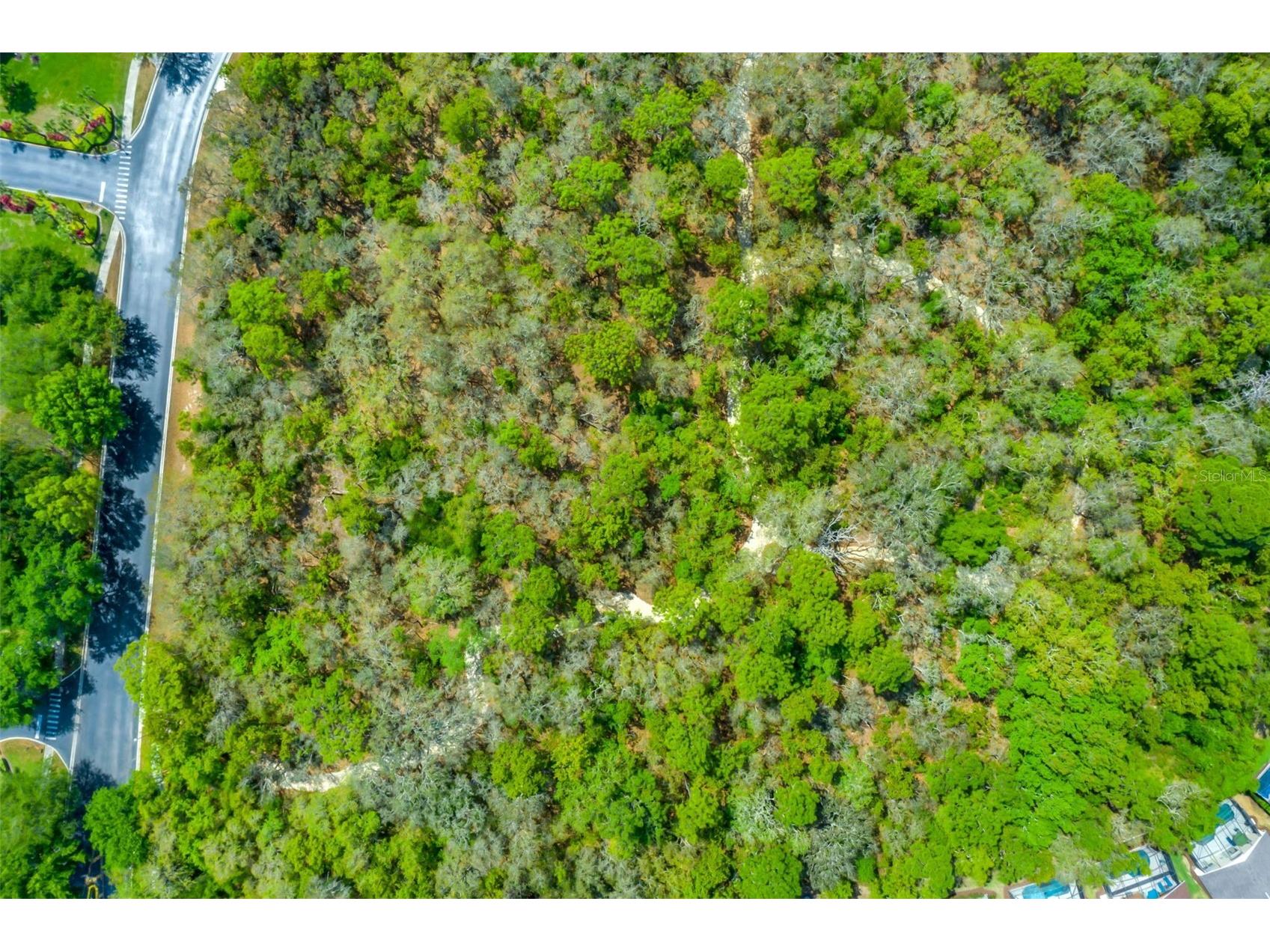 8550 Sunrise Key Drive Kissimmee FL 34747 S5148879 image58