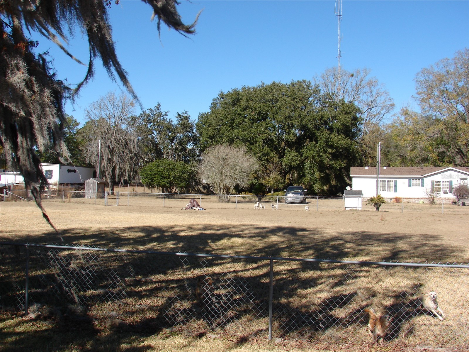 8551 Oglesby Avenue Jacksonville FL 32220 GC537523 image17
