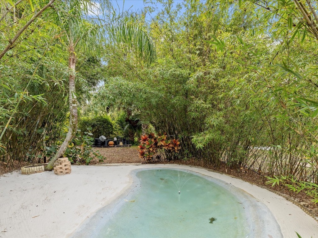 8551 Pratt Drive New Port Richey FL 34654 W7880726 image49