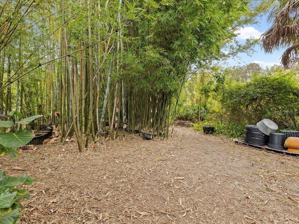 8551 Pratt Drive New Port Richey FL 34654 W7880726 image72