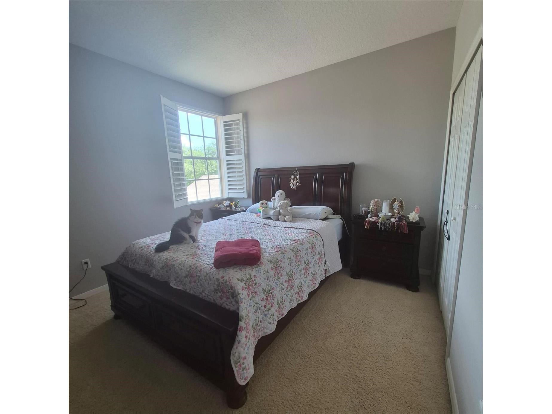 8552 Keswick Pointe Drive Orlando FL 32829 O6410733 image19
