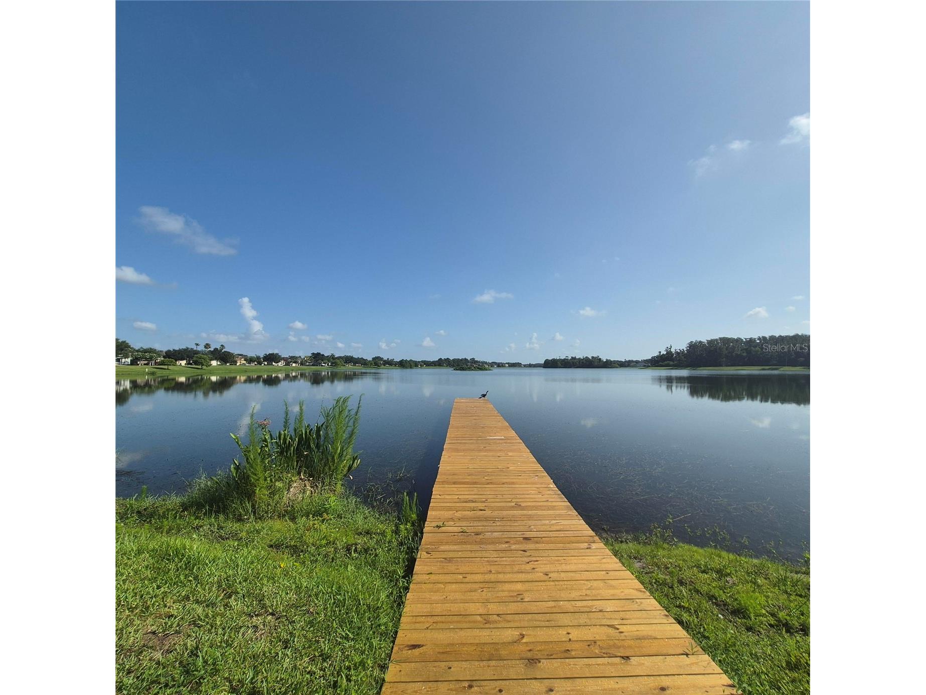 8552 Keswick Pointe Drive Orlando FL 32829 O6410733 image3