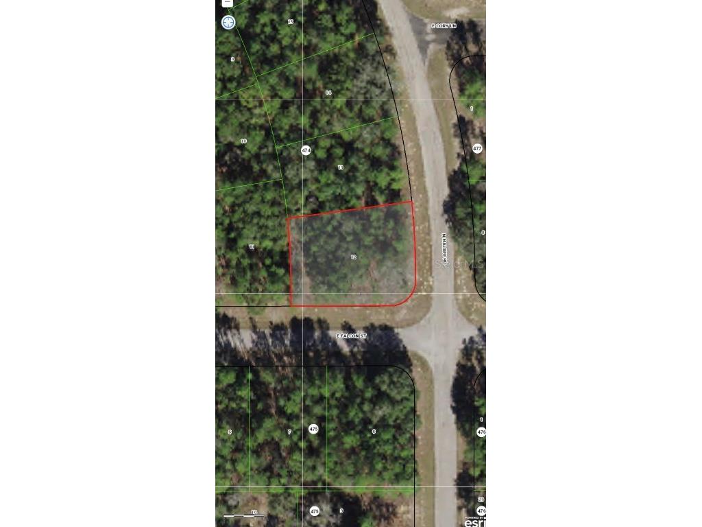 8552 N Malibu Road Citrus Springs FL 34434 O6093539 image1