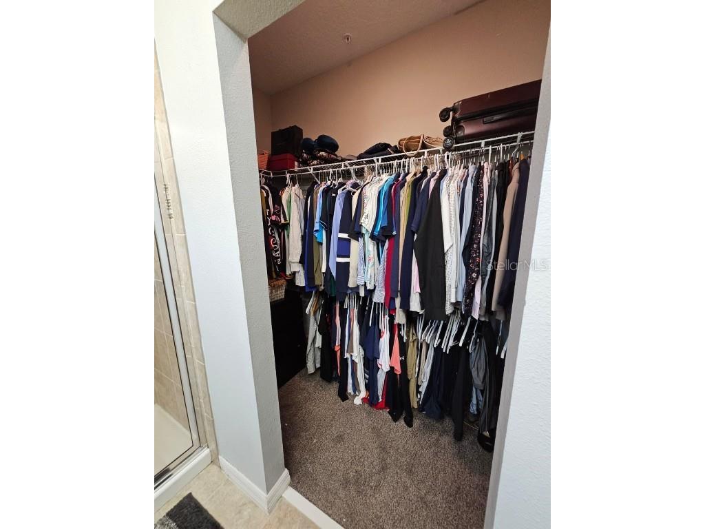 8552 Powder Ridge Trail Windermere FL 34786 S5138920 image18