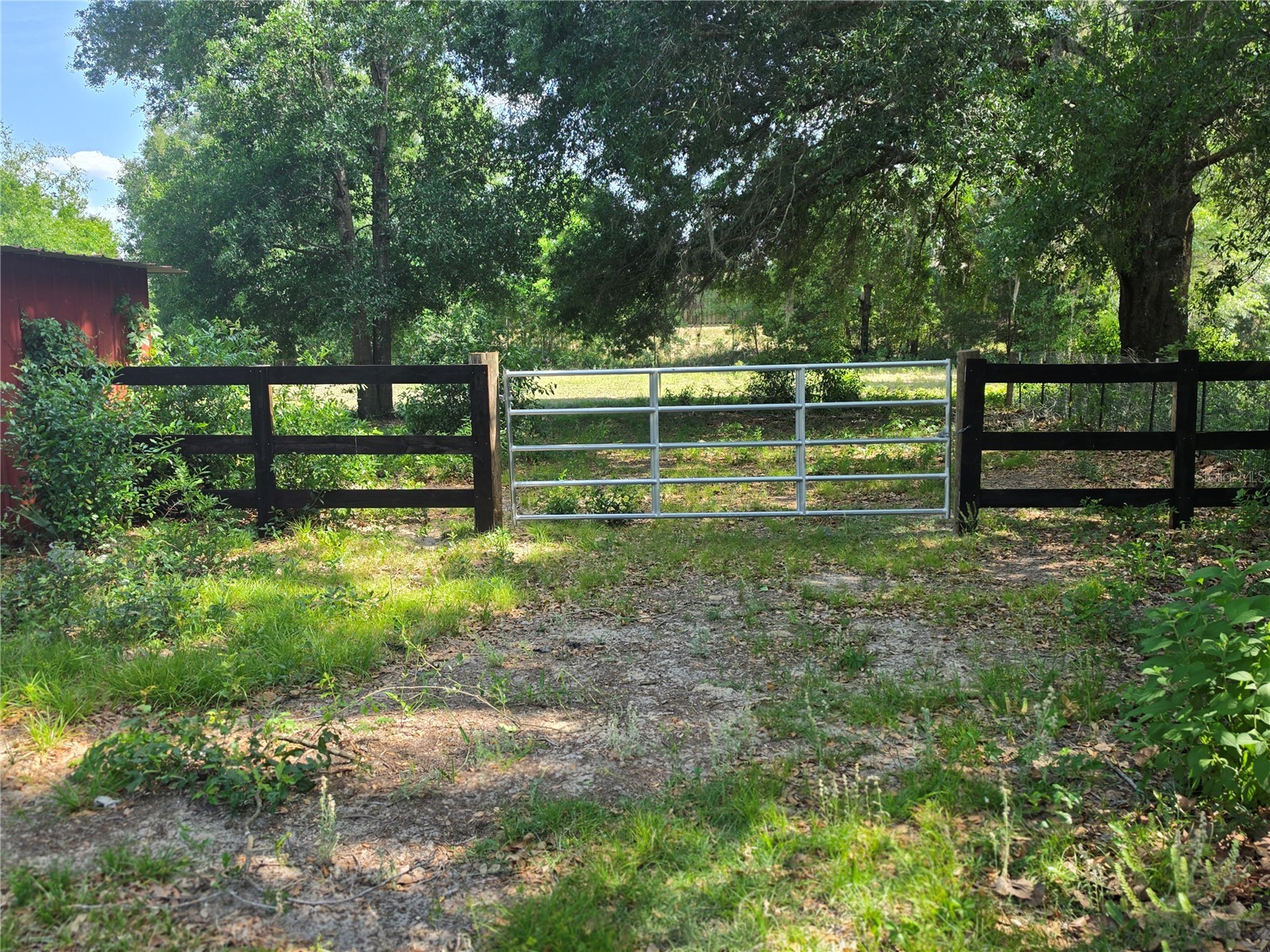 8552 SE 128th Lane Summerfield FL 34491 OM724378 image15