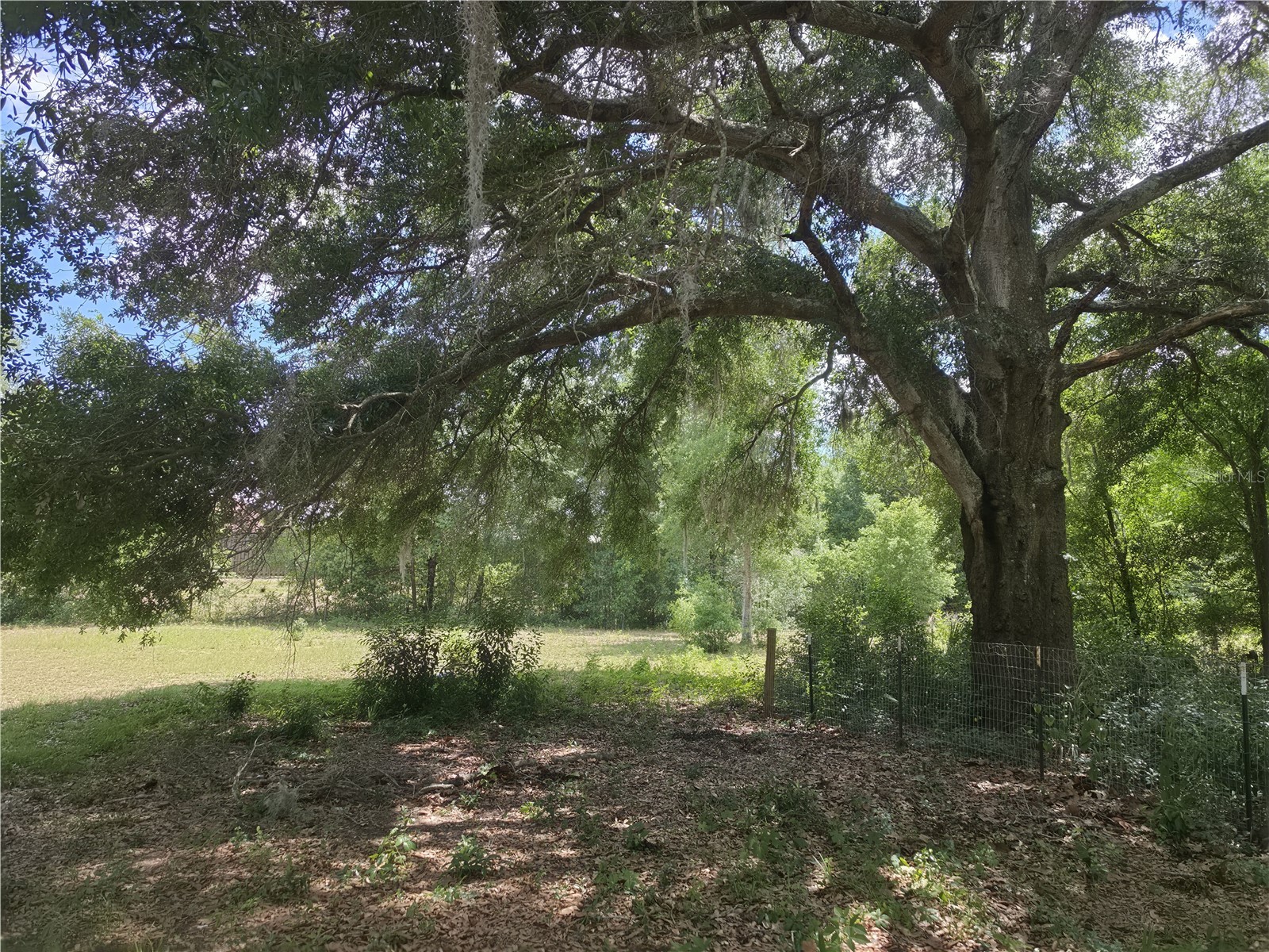 8552 SE 128th Lane Summerfield FL 34491 OM724378 image18