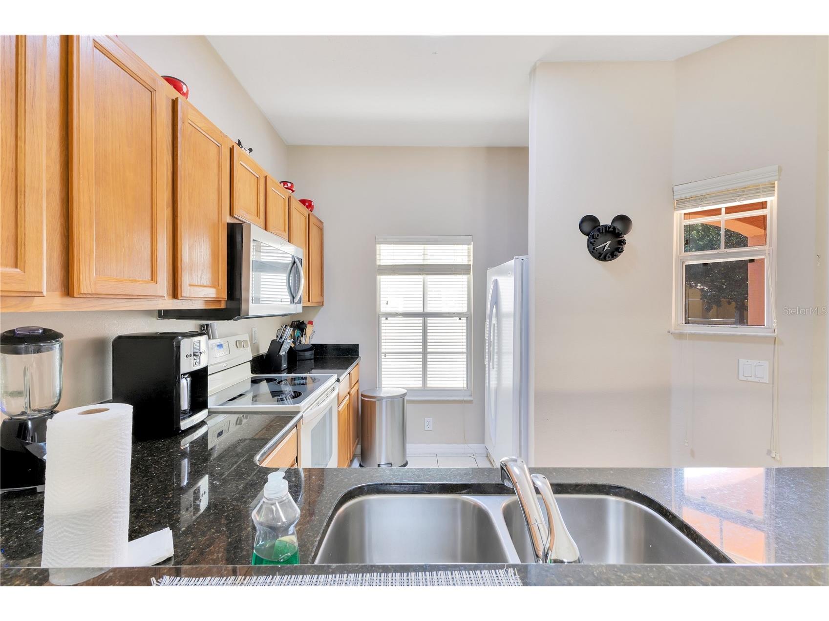 8553 Bay Lilly Loop Kissimmee FL 34747 O6412829 image6