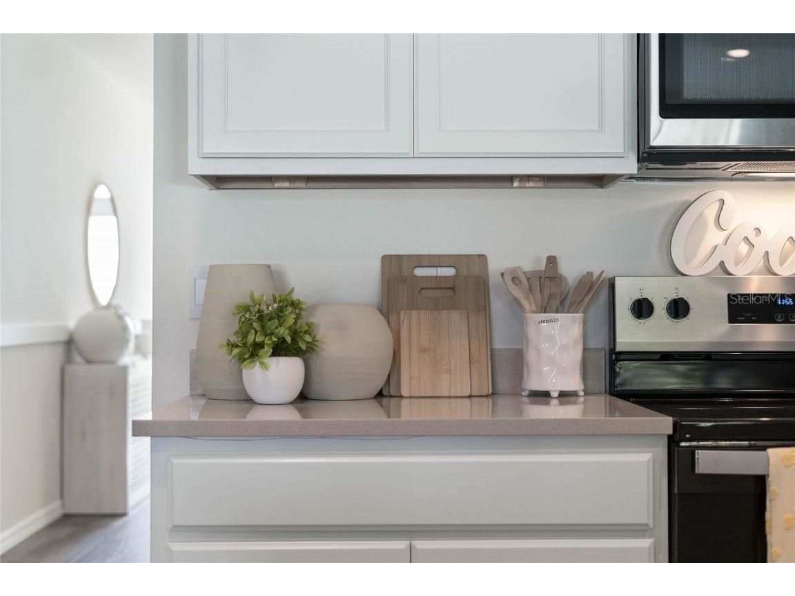 8553 Cape Fox Cove Lakeland FL 33810 O6366863 image7