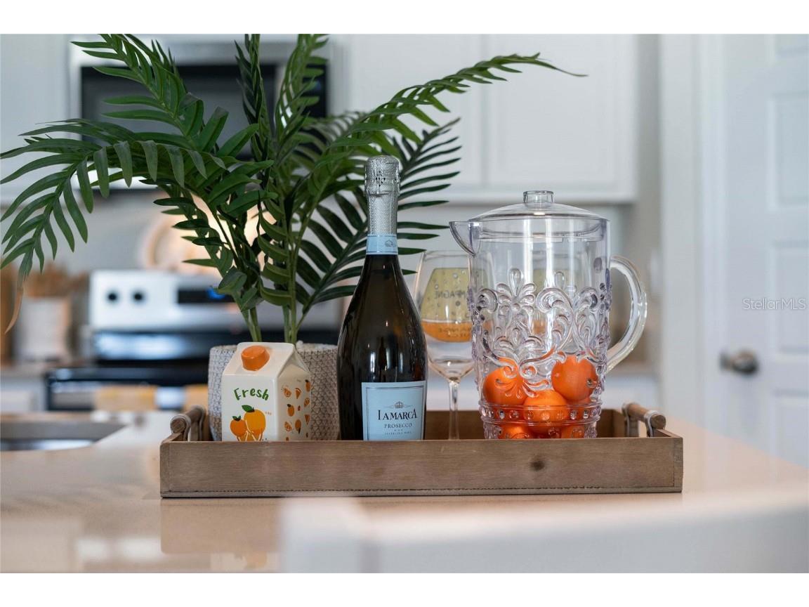 8553 Cape Fox Cove Lakeland FL 33810 O6366863 image8