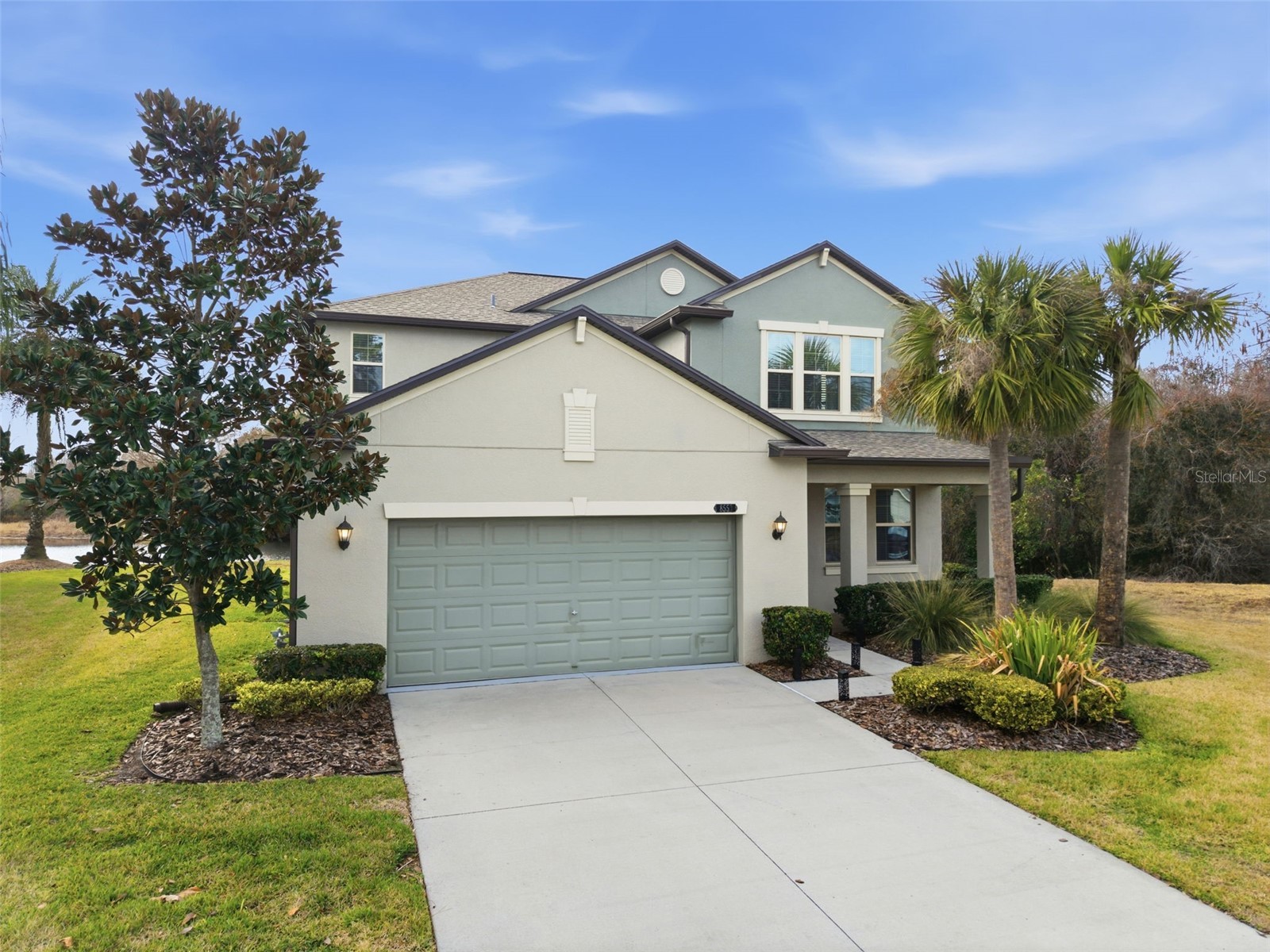 8553 Savory Walk Drive Land O Lakes FL 34637 TB8471914 image1