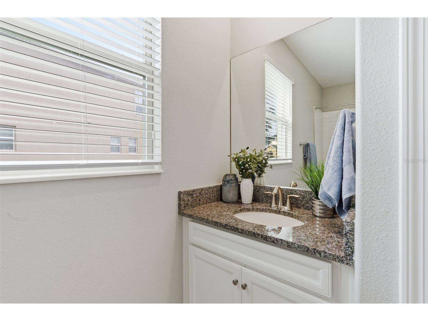 8553 Savory Walk Drive Land O Lakes FL 34637 TB8471914 image18