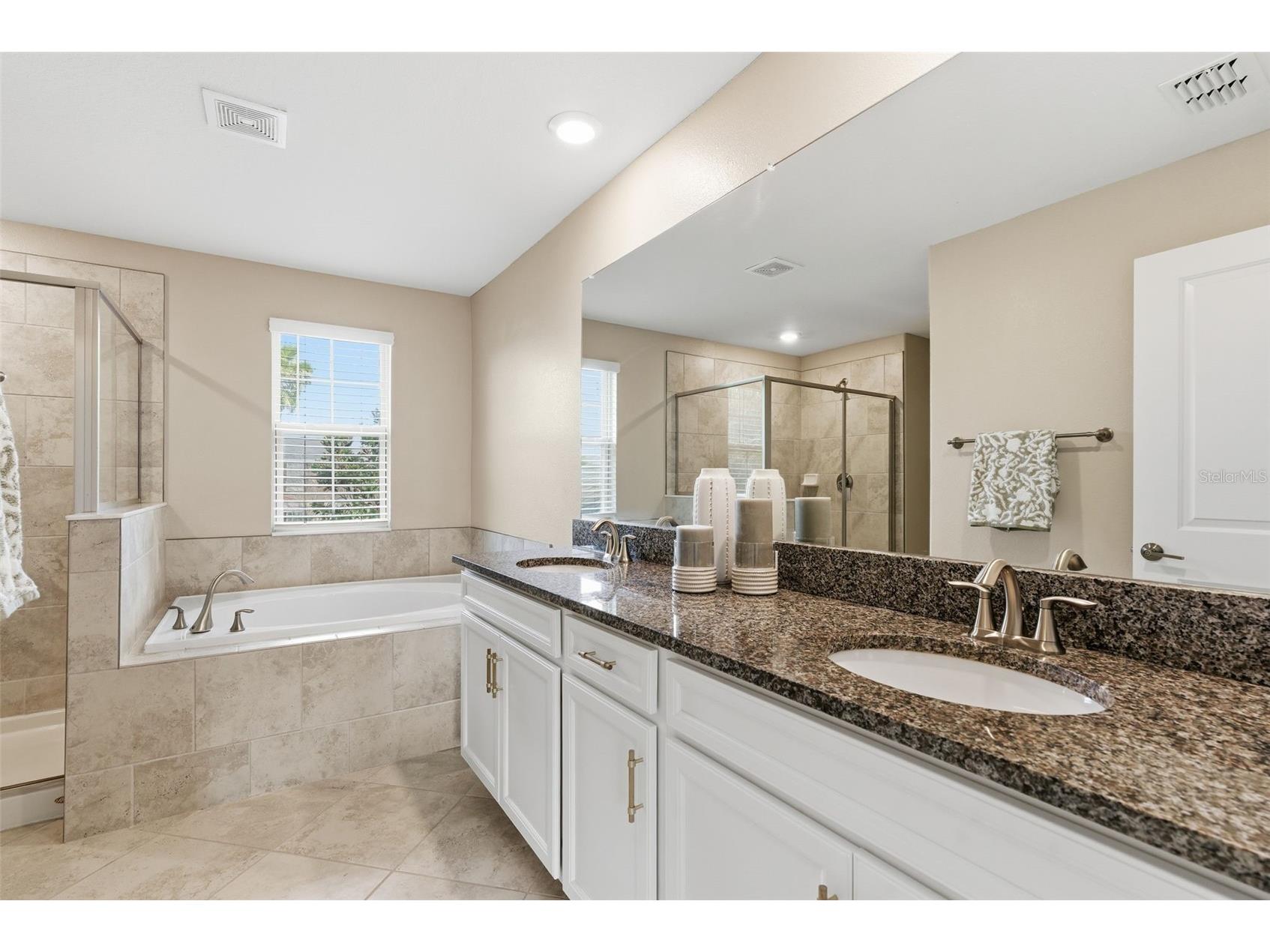 8553 Savory Walk Drive Land O Lakes FL 34637 TB8471914 image27