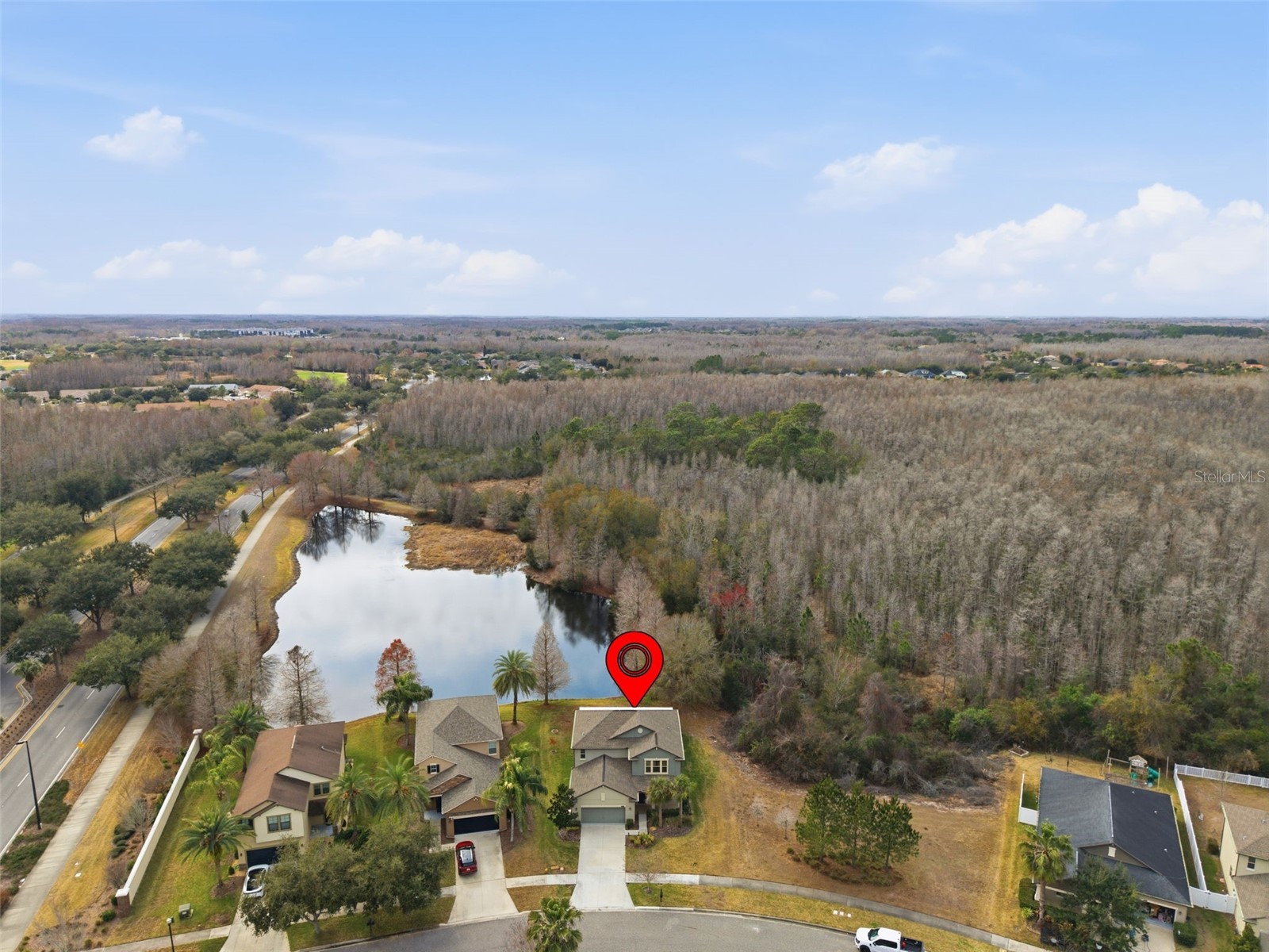 8553 Savory Walk Drive Land O Lakes FL 34637 TB8471914 image43