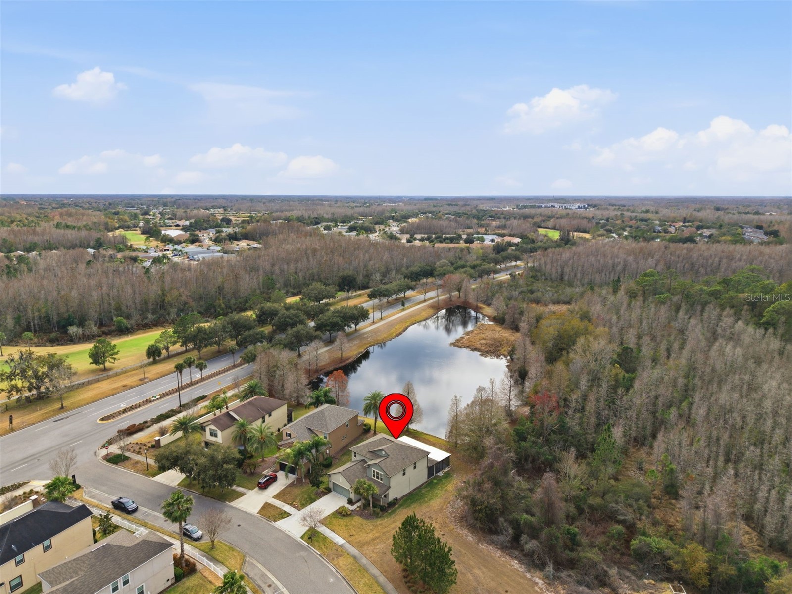 8553 Savory Walk Drive Land O Lakes FL 34637 TB8471914 image44