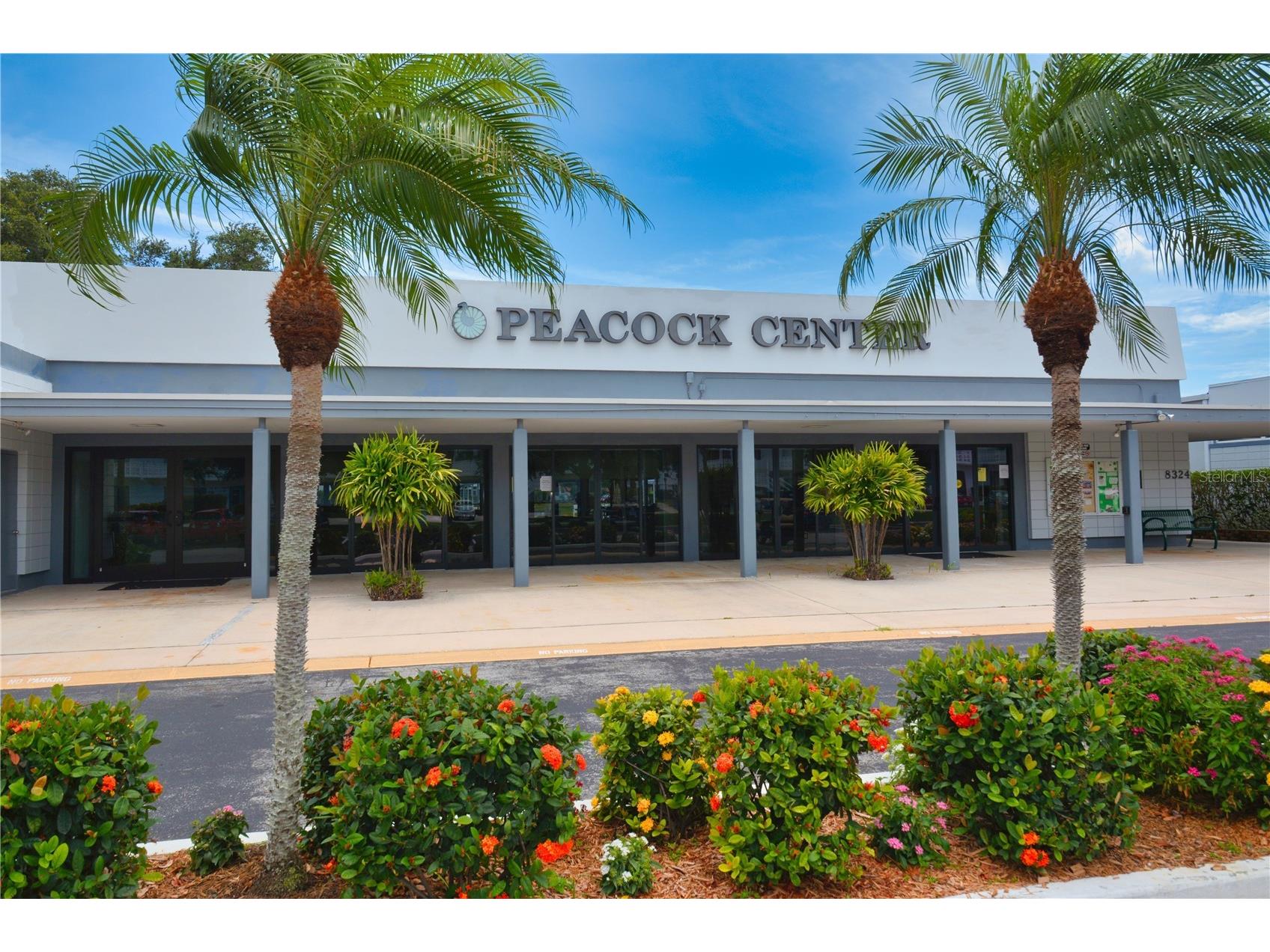 8555 112th Street #106 Seminole FL 33772 TB8416945 image16