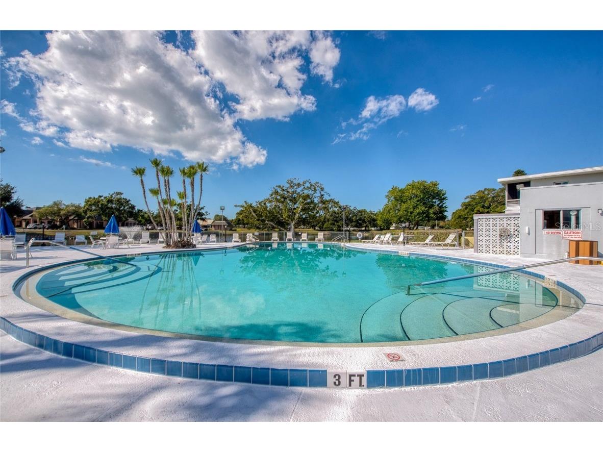 8555 N 112th Street #205 Seminole FL 33772 TB8446116 image28