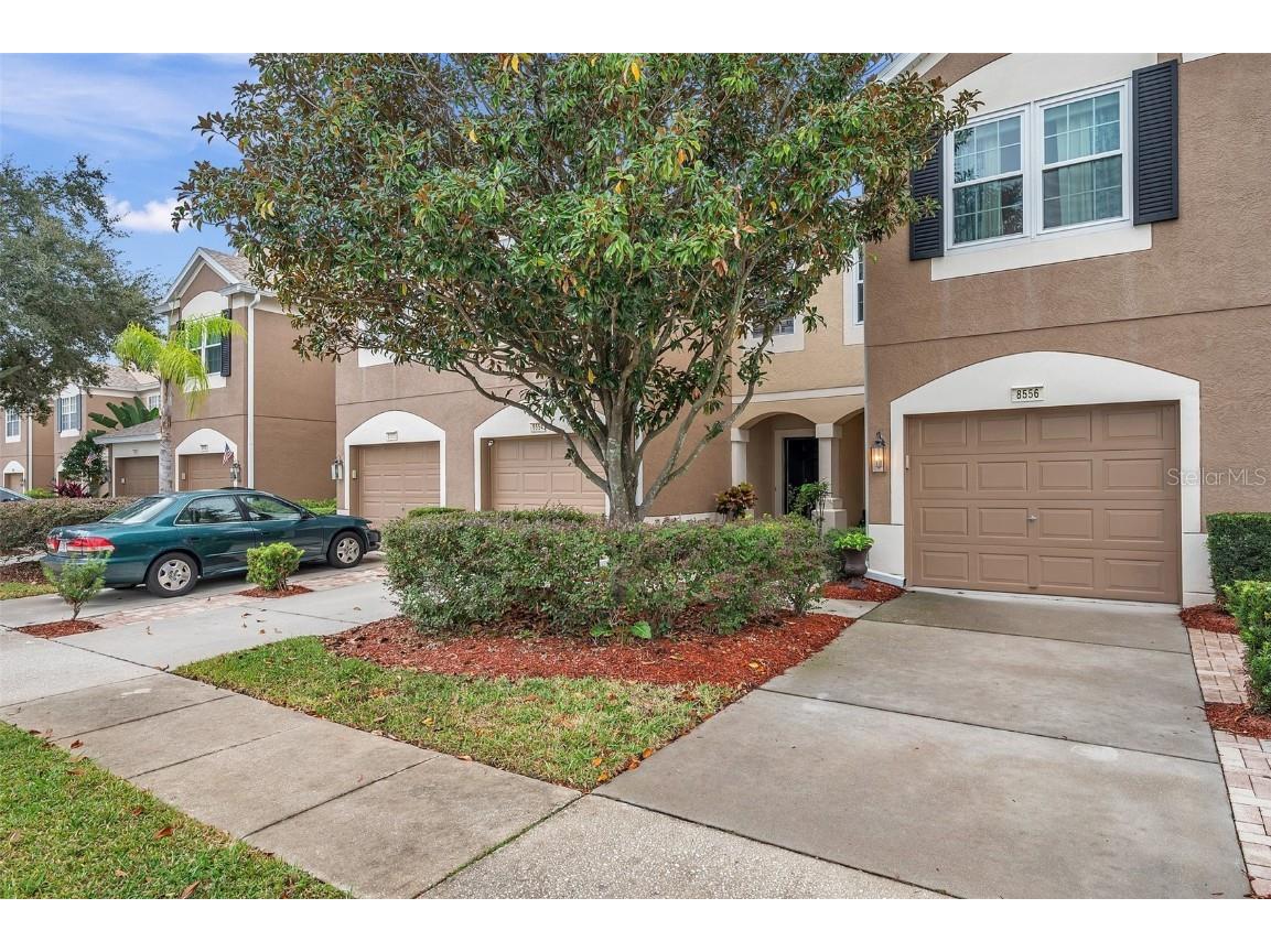 8556 Sandy Beach Street Tampa FL 33634 T3487871 image1