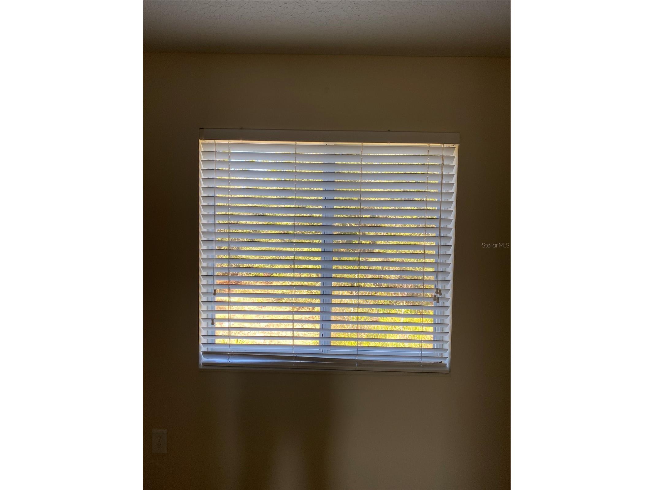 8556 Trail Wind Drive #8556 Tampa FL 33647 TB8464115 image15