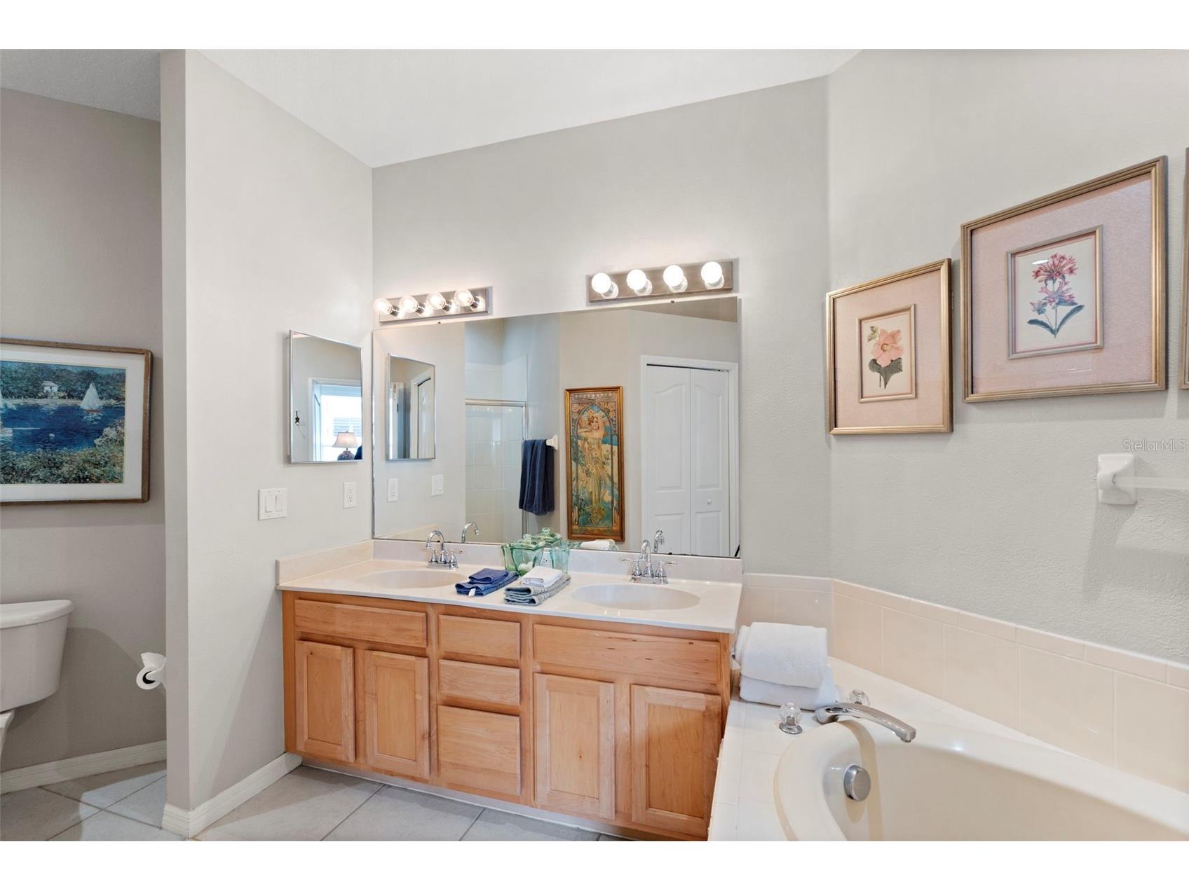 8557 Acorn Ridge Court Tampa FL 33625 TB8512203 image23