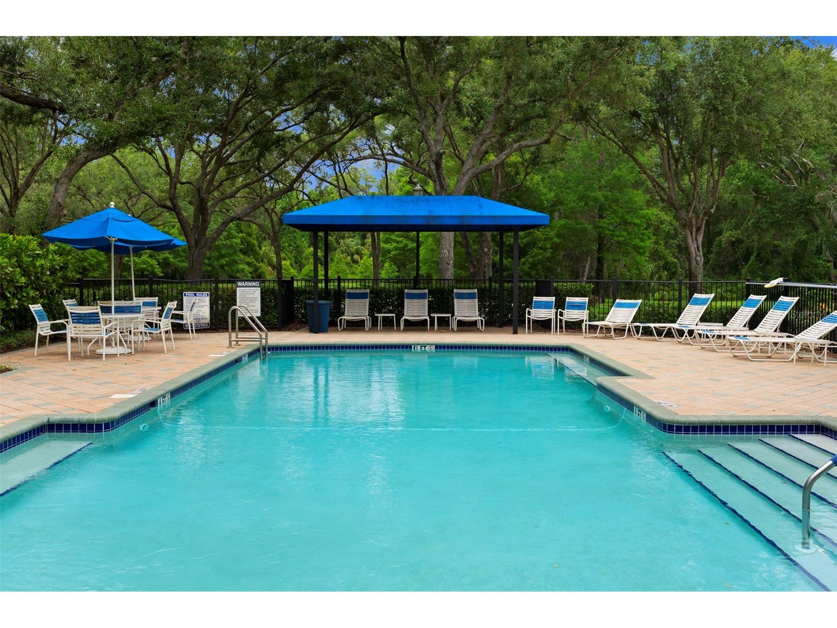8557 Acorn Ridge Court Tampa FL 33625 TB8512203 image45