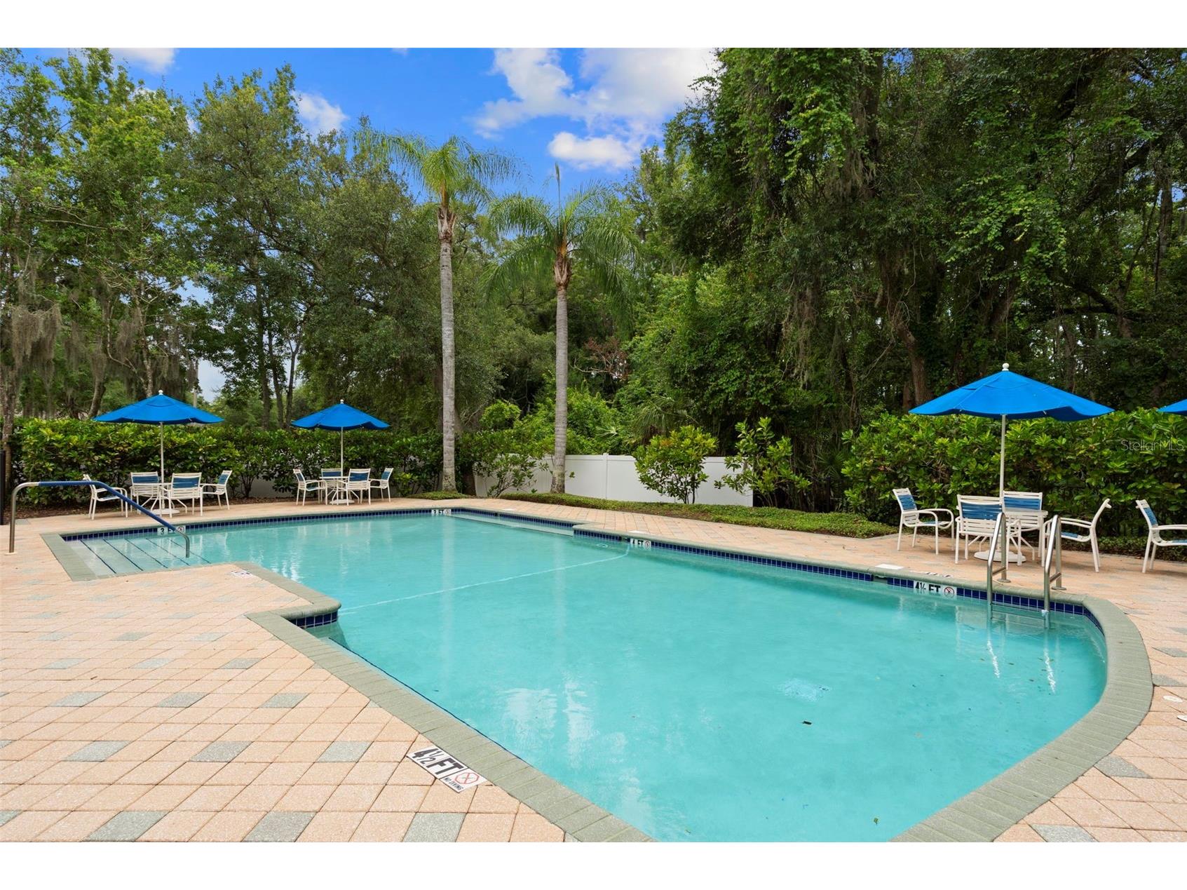 8557 Acorn Ridge Court Tampa FL 33625 TB8512203 image48