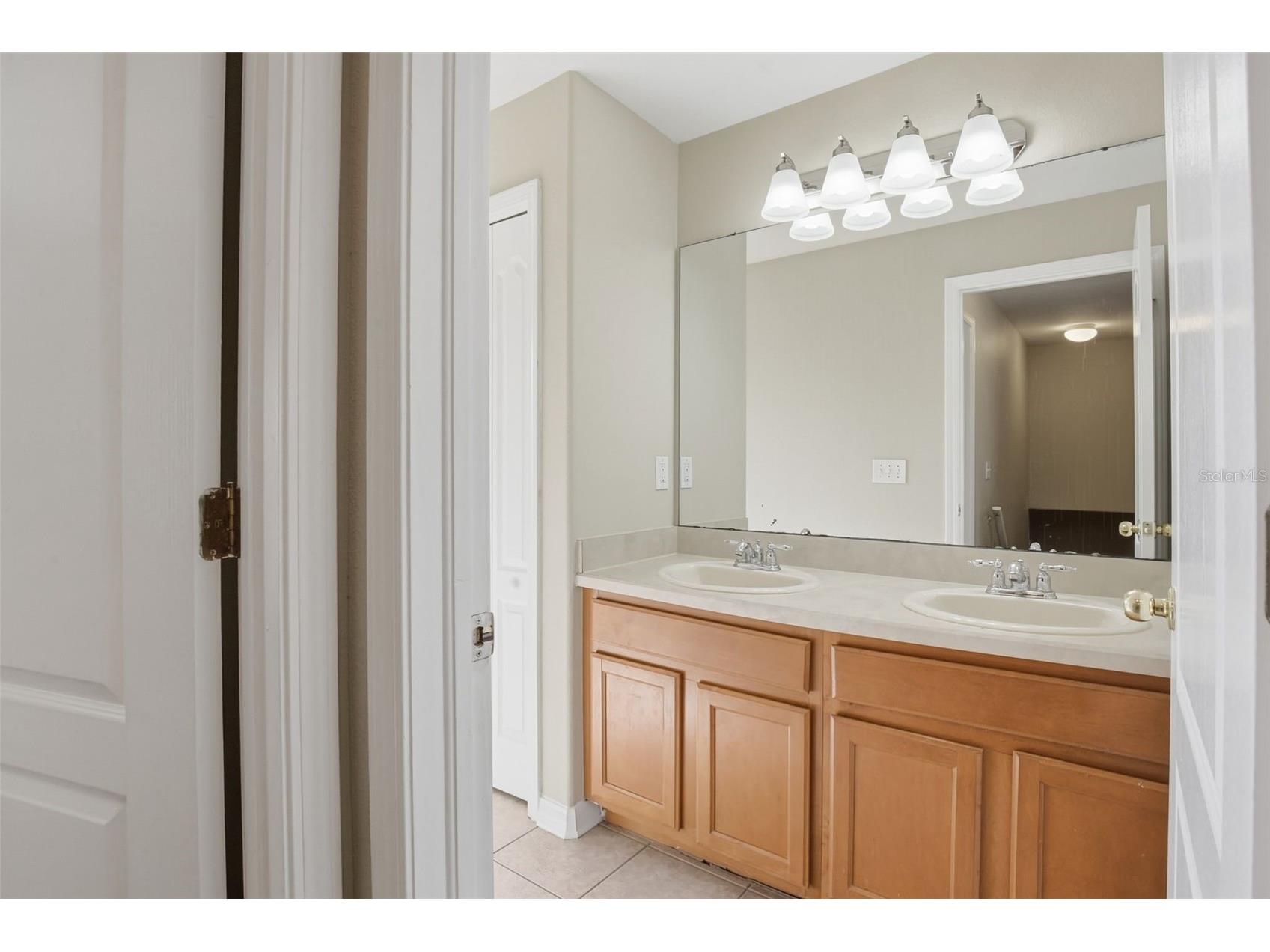 8557 Deer Chase Drive Riverview FL 33578 O6365893 image32