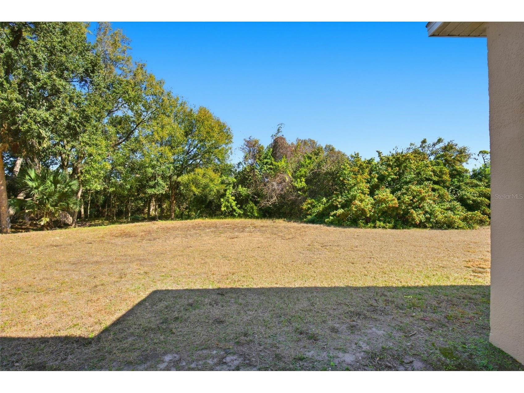 8557 Deer Chase Drive Riverview FL 33578 O6365893 image37