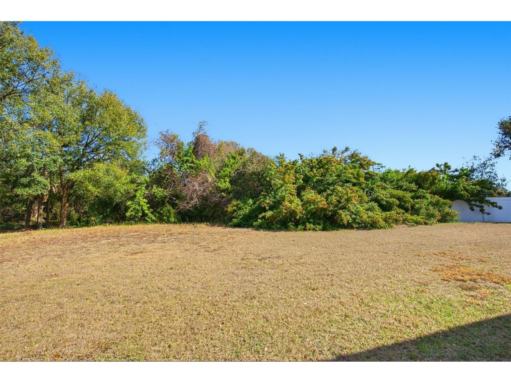 8557 Deer Chase Drive Riverview FL 33578 O6365893 image39