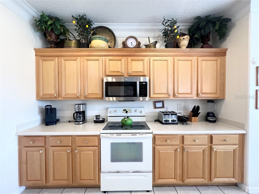 8557 La Isla Drive Kissimmee FL 34747 S5117947 image14