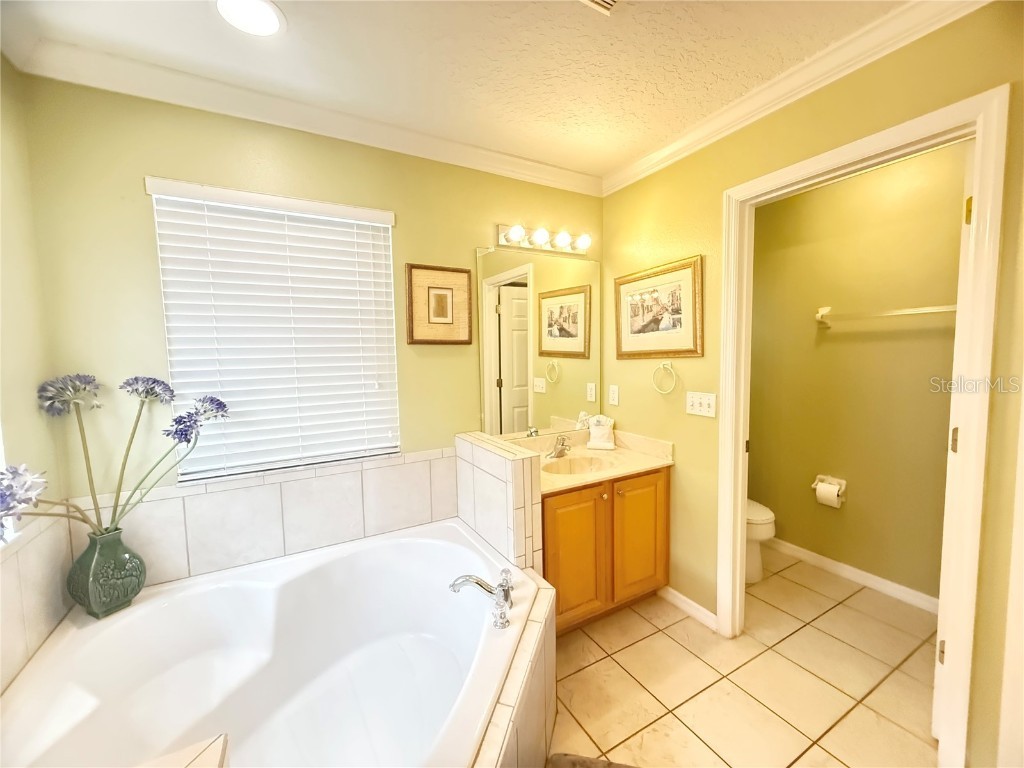 8557 La Isla Drive Kissimmee FL 34747 S5117947 image38