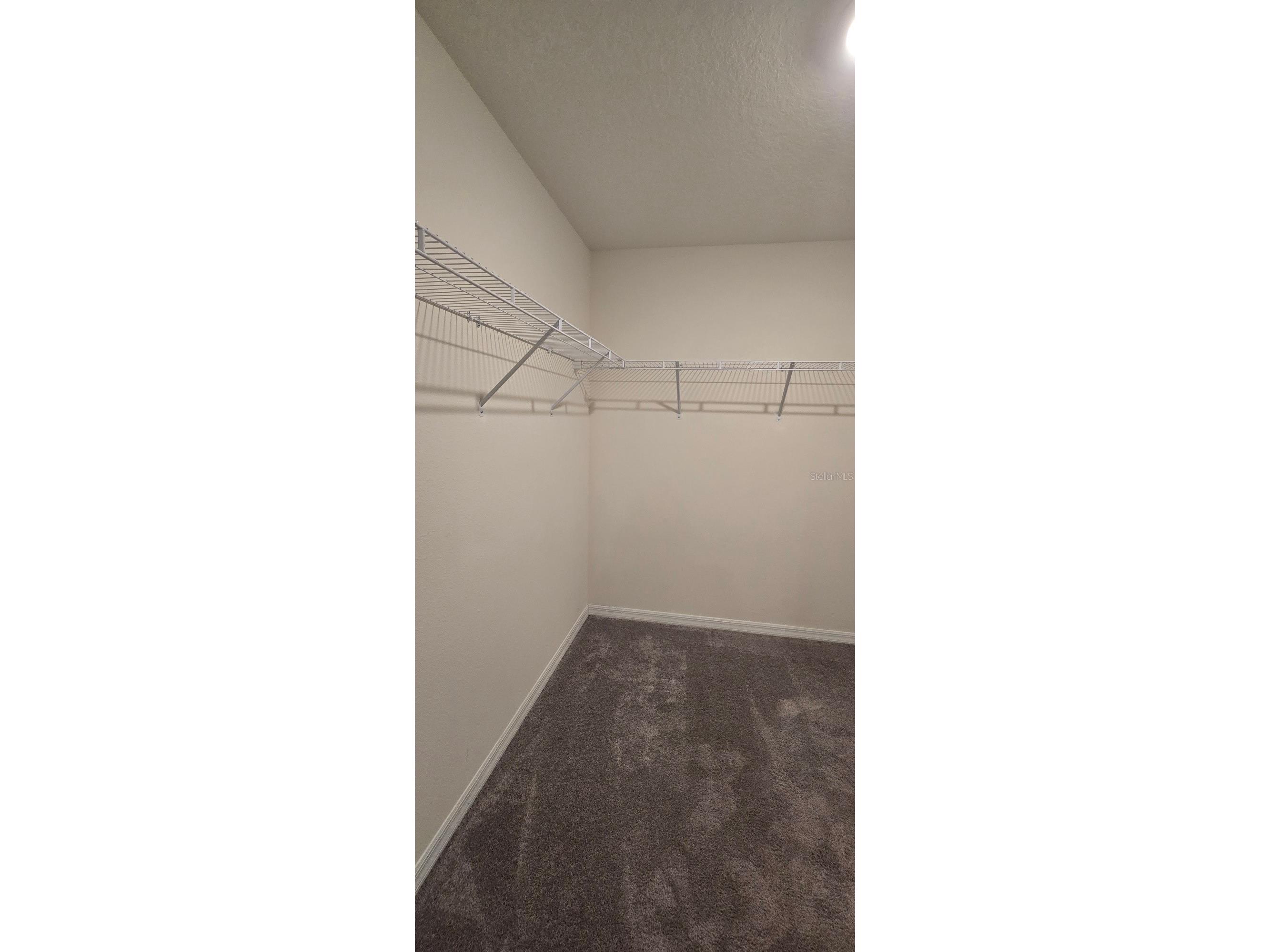 8557 Triumph Circle Wildwood FL 34785 OM721594 image16