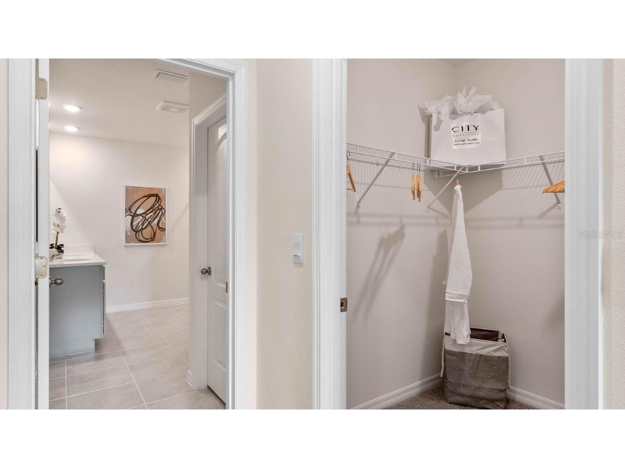 8559 Cape Fox Cove Lakeland FL 33810 O6363224 image27